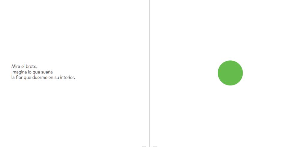 EL INTERIOR DE LOS COLORES3