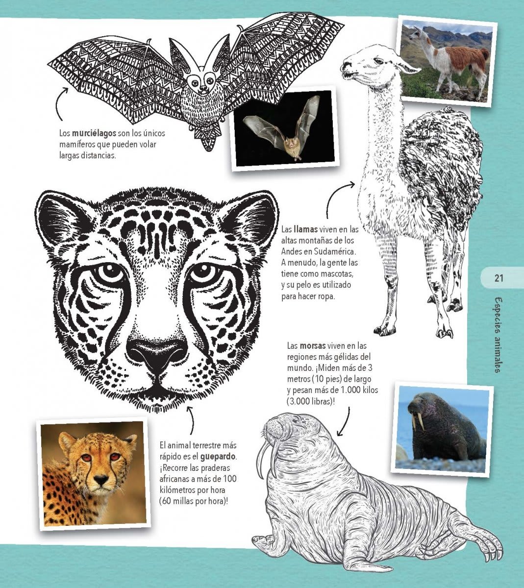 COLORPEDIA DE LOS ANIMALES 1