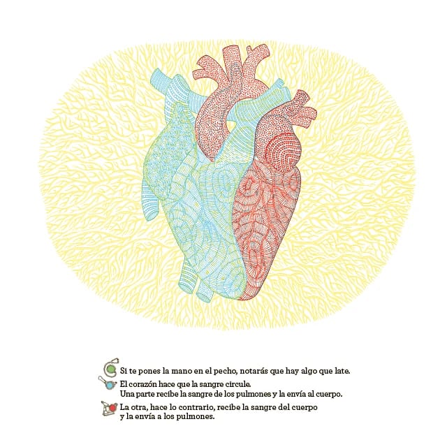 ¿QUÉ SE ESCONDE DENTRO DEL CUERPO HUMANO?3