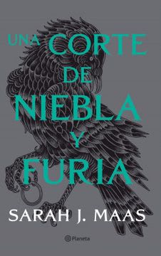 UNA CORTE DE NIEBLA Y FURIA #21