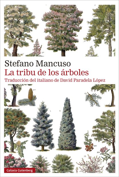 LA TRIBU DE LOS ARBOLES1