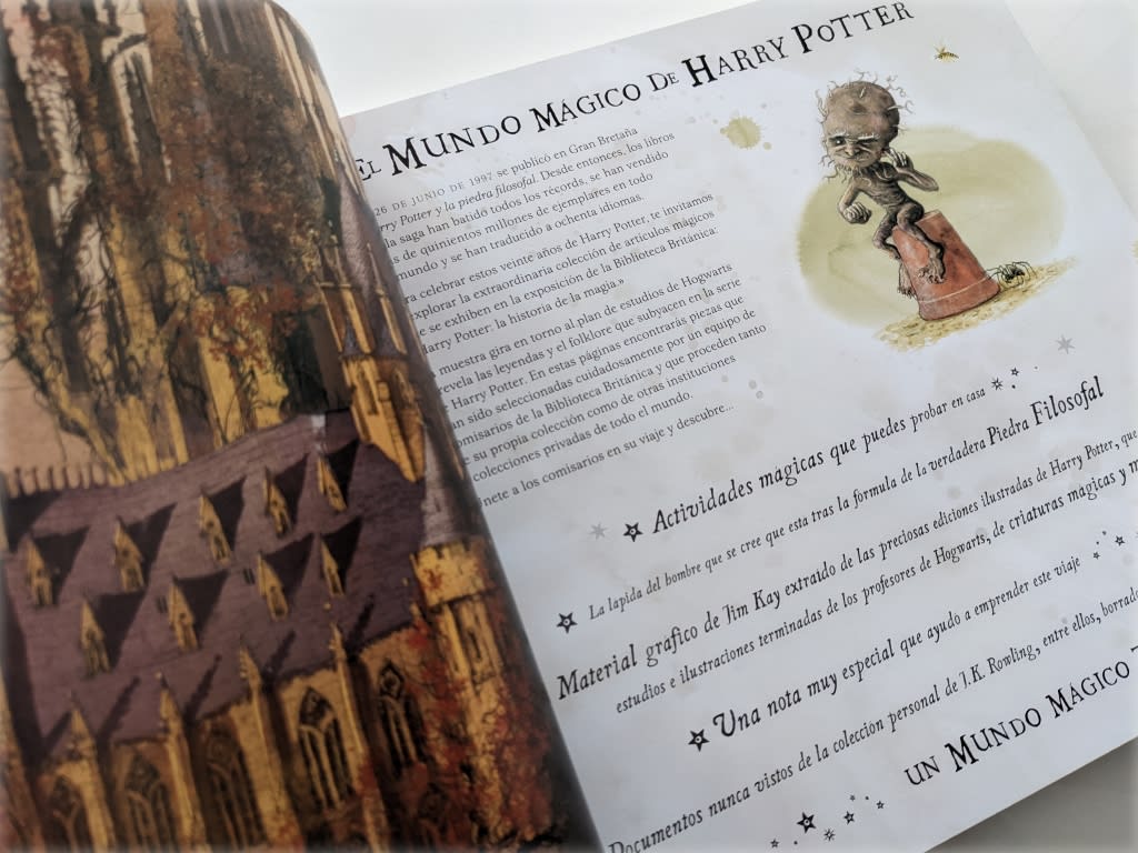 HARRY POTTER: UN VIAJE POR LA HISTORIA2