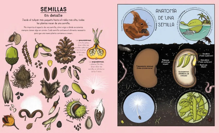 CICLOS DE LA NATURALEZA2