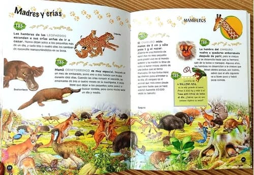 500 PREGUNTAS Y RESPUESTAS: SOBRE LOS ANIMALES4