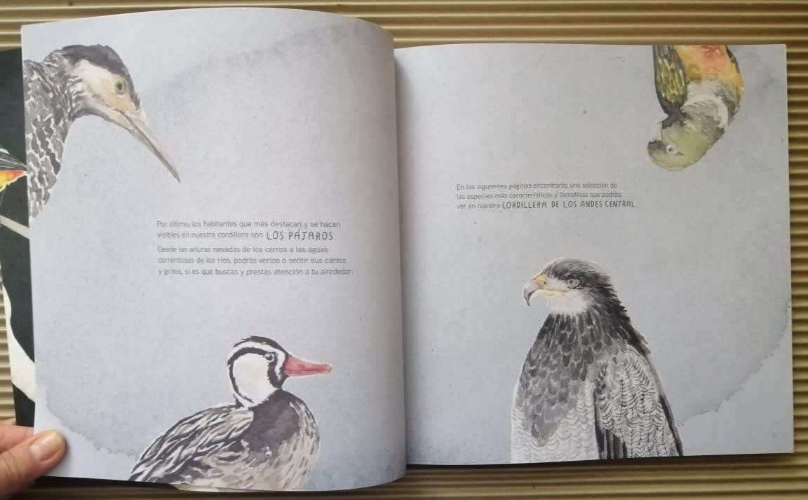 GEOGRAFÍA DE PÁJAROS: CHILE CENTRAL1