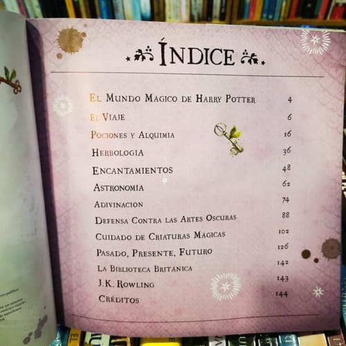 HARRY POTTER: UN VIAJE POR LA HISTORIA3