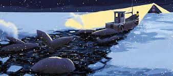 LA BALLENA EN INVIERNO3