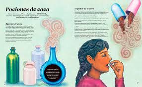 EL LIBRO DE LA CACA2