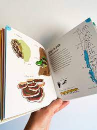 FAUNA, FUNGI Y FLORA. BREVE MUESTRA NATURAL DE CHILE3