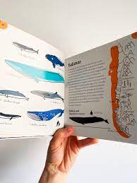 FAUNA, FUNGI Y FLORA. BREVE MUESTRA NATURAL DE CHILE2