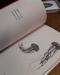 101 HAIKUS PARA NIÑOS Y NIÑAS3