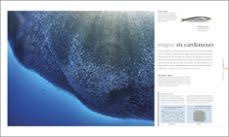 OCEANOS (NE)4