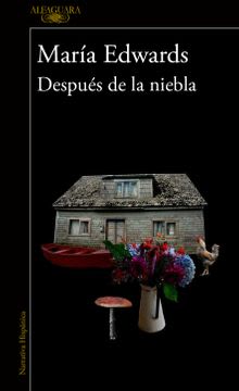 DESPUÉS DE LA NIEBLA1