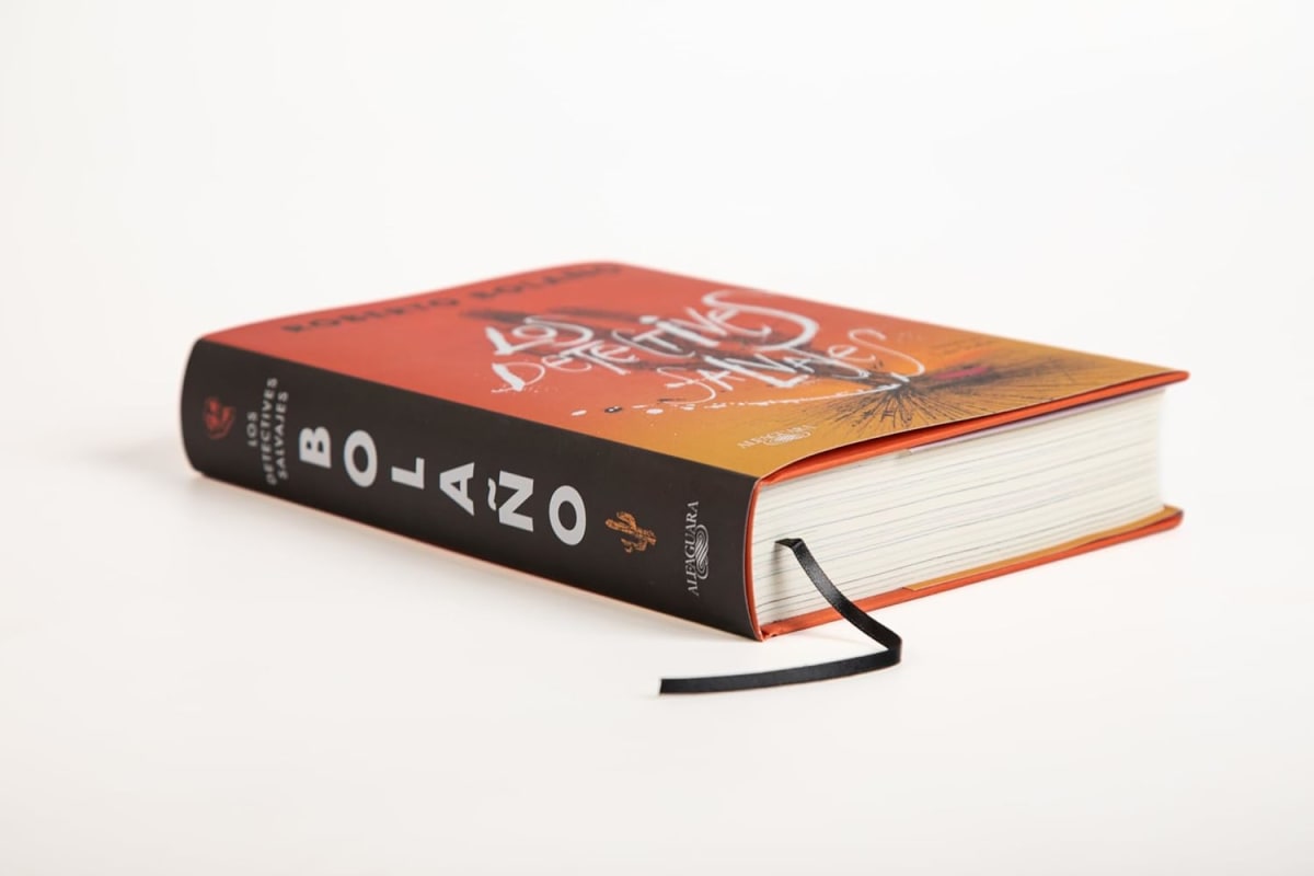 LOS DETECTIVES SALVAJES (ED. ILUSTRADA)5