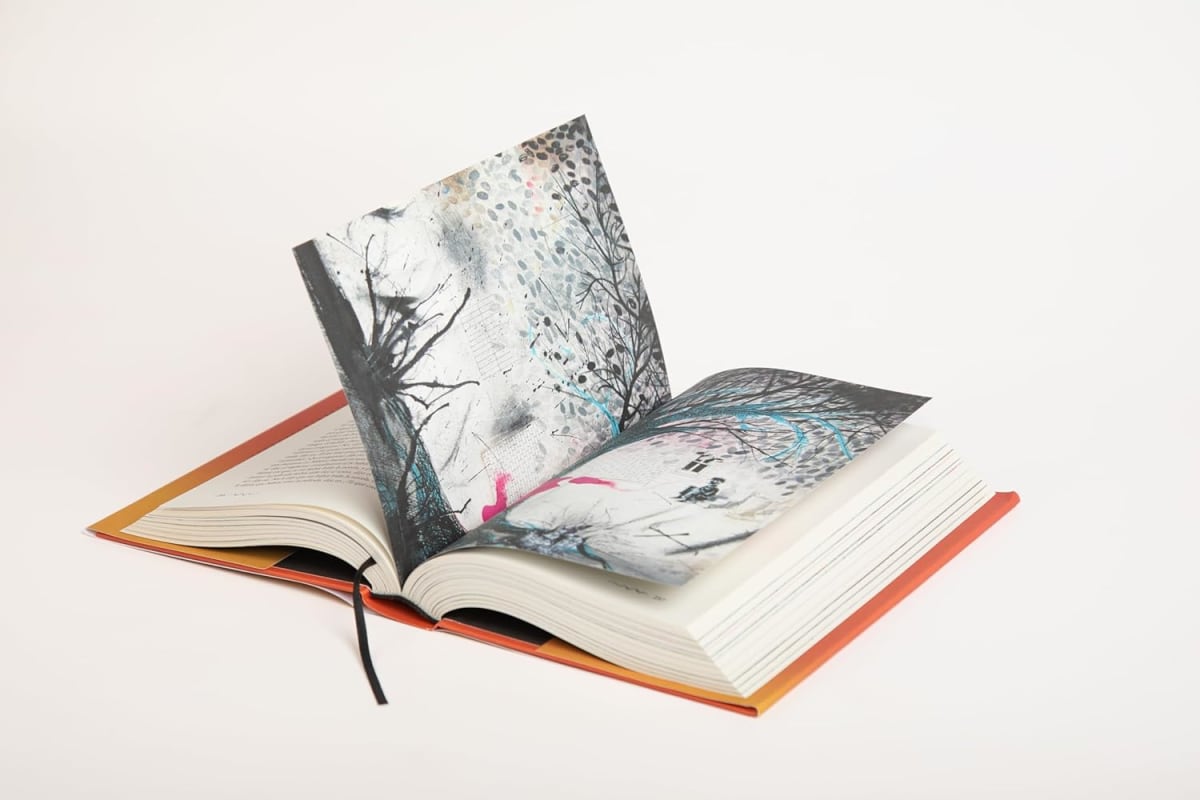 LOS DETECTIVES SALVAJES (ED. ILUSTRADA)2