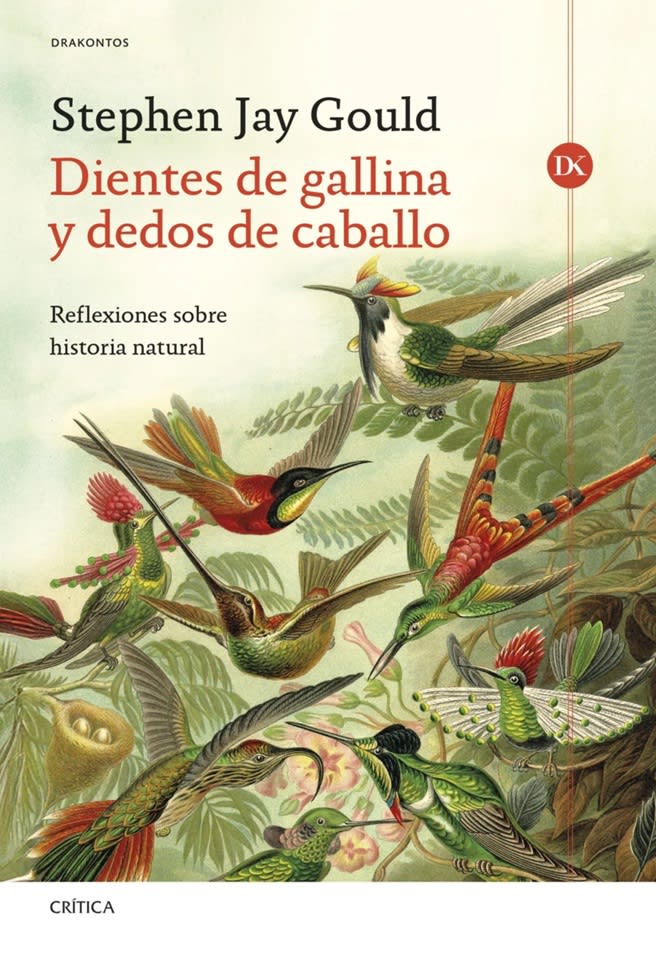 DIENTES DE GALLINA Y DEDOS DE CABALLO1