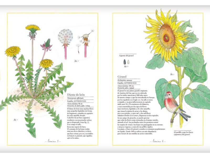 INVENTARIO ILUSTRADO DE FLORES2