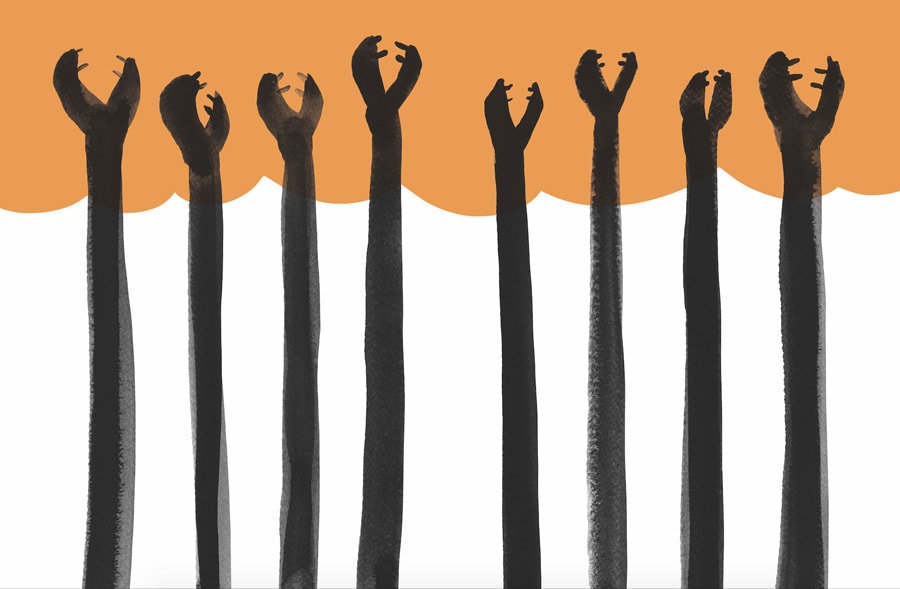 DENTRO DE UNA CEBRA4