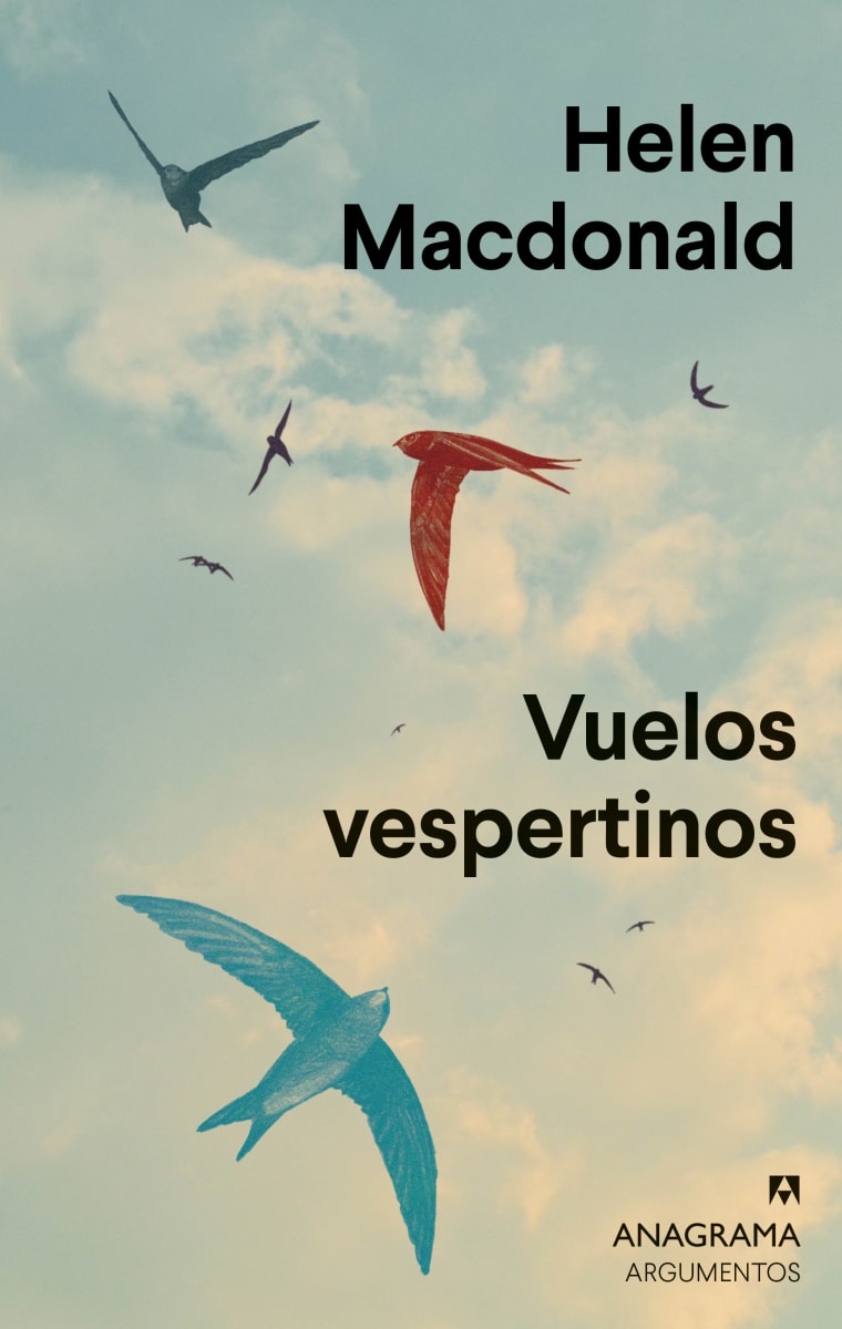 VUELOS VESPERTINOS1