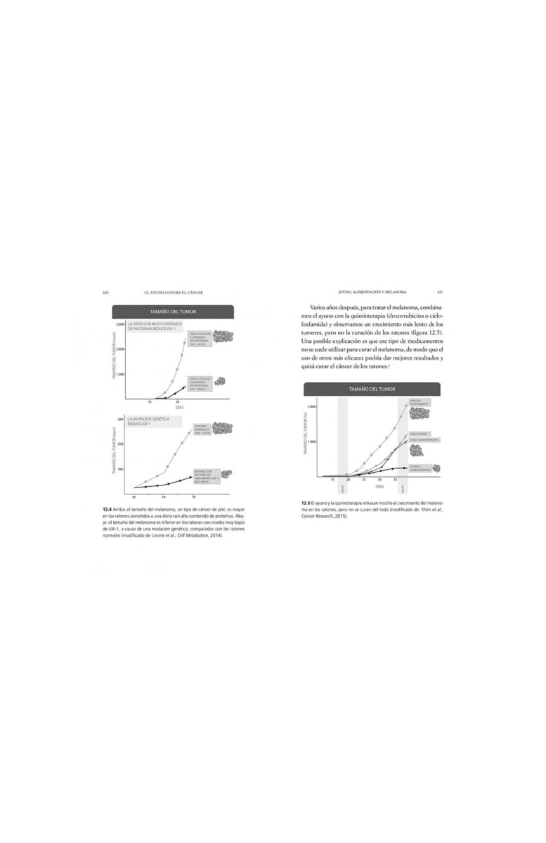 EL AYUNO CONTRA EL CANCER2