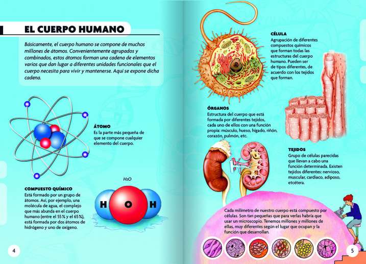 DESCUBRO Y JUEGO - EL CUERPO HUMANO2