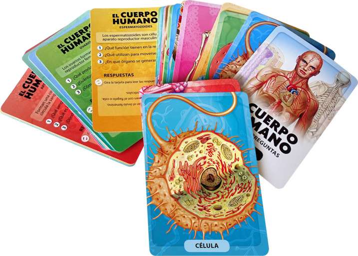DESCUBRO Y JUEGO - EL CUERPO HUMANO3
