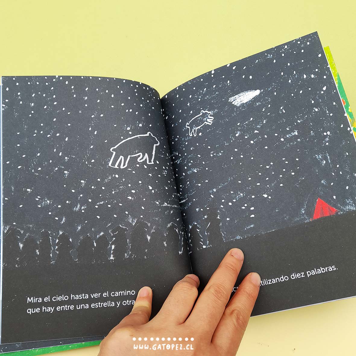 EL ESPACIO ENTRE LA HIERBA2