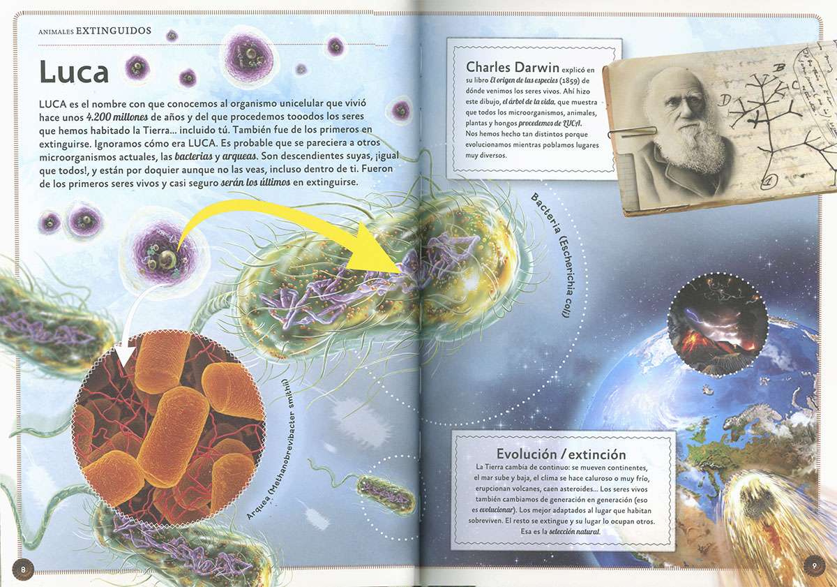 EL MAGNÍFICO LIBRO DE LOS ANIMALES EXTINGUIDOS2