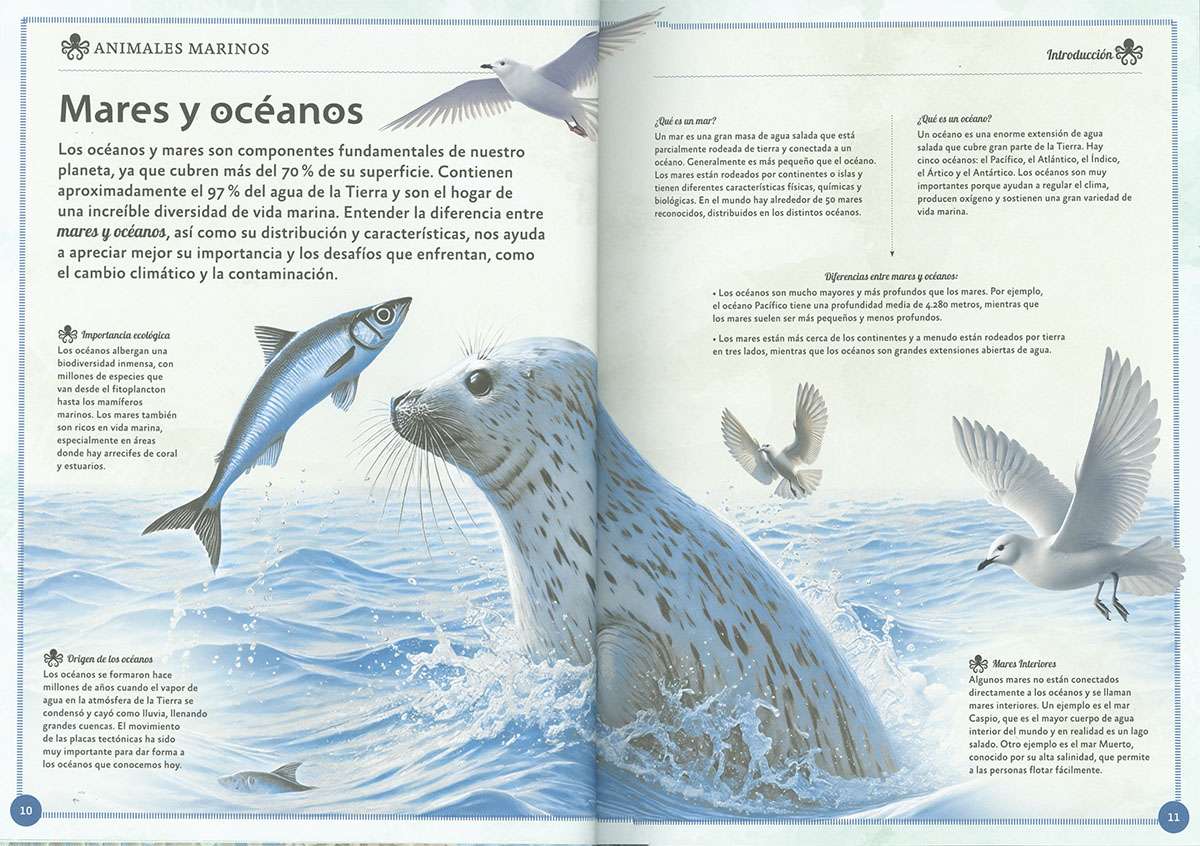EL MAGNÍFICO LIBRO DE LOS ANIMALES MARINOS2