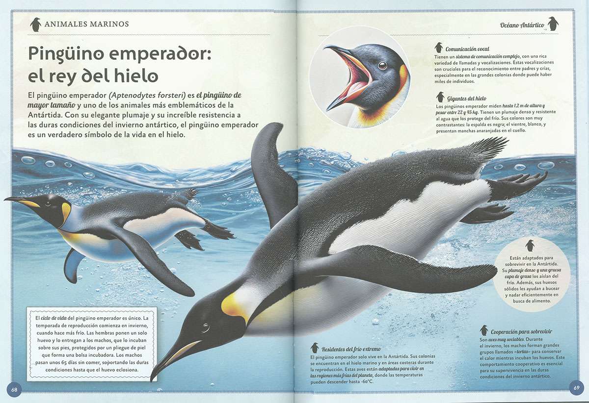 EL MAGNÍFICO LIBRO DE LOS ANIMALES MARINOS3