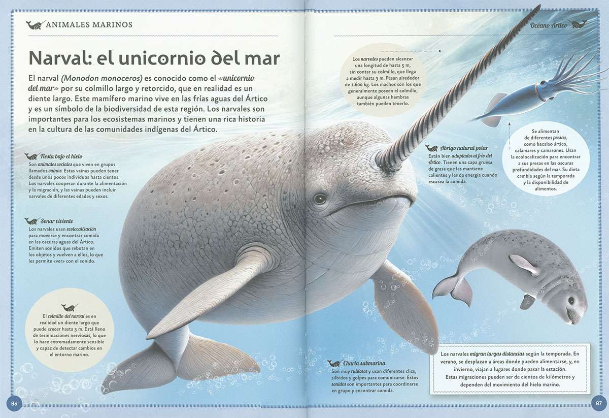 EL MAGNÍFICO LIBRO DE LOS ANIMALES MARINOS4