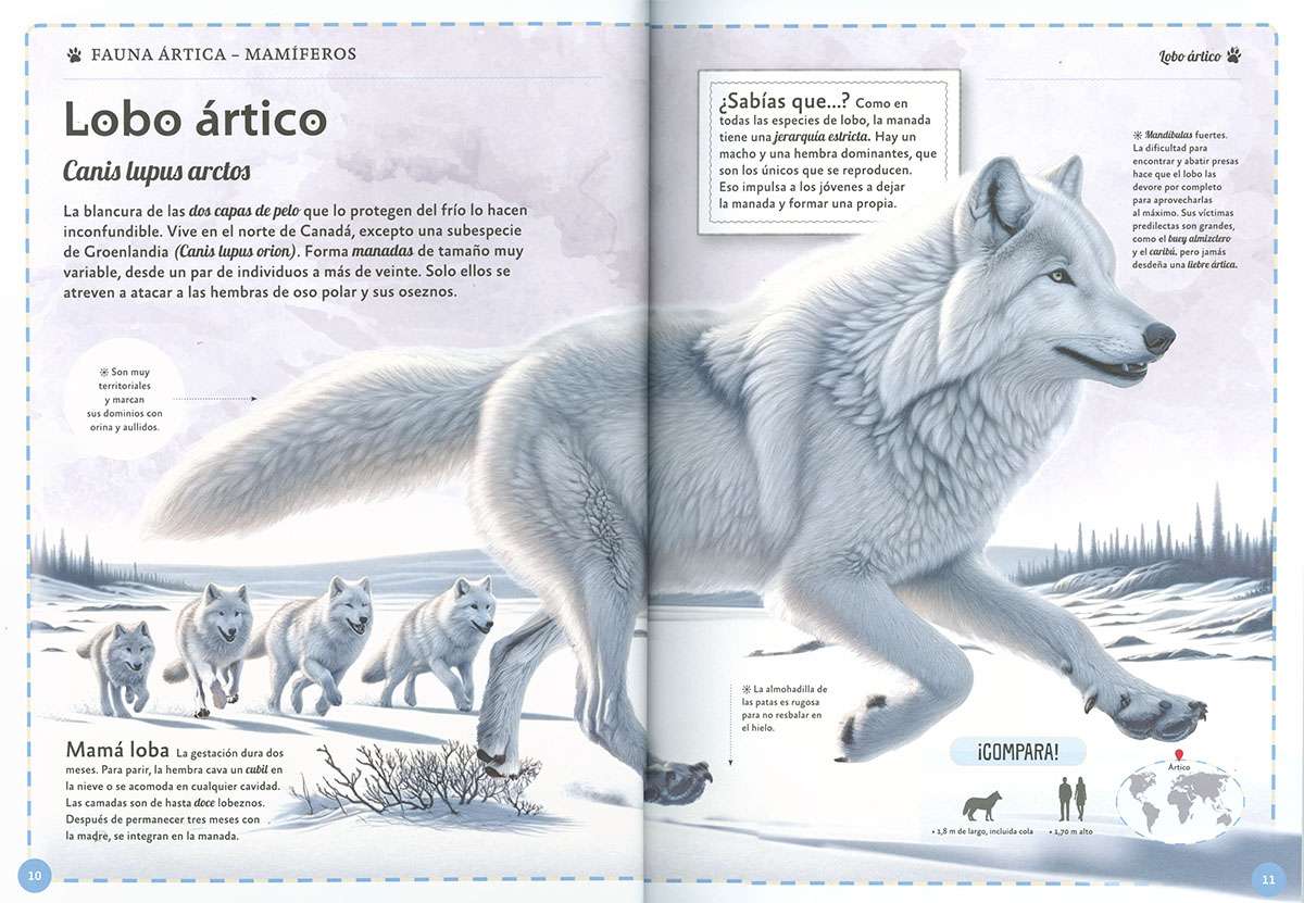 EL MAGNÍFICO LIBRO DE LOS ANIMALES POLARES2