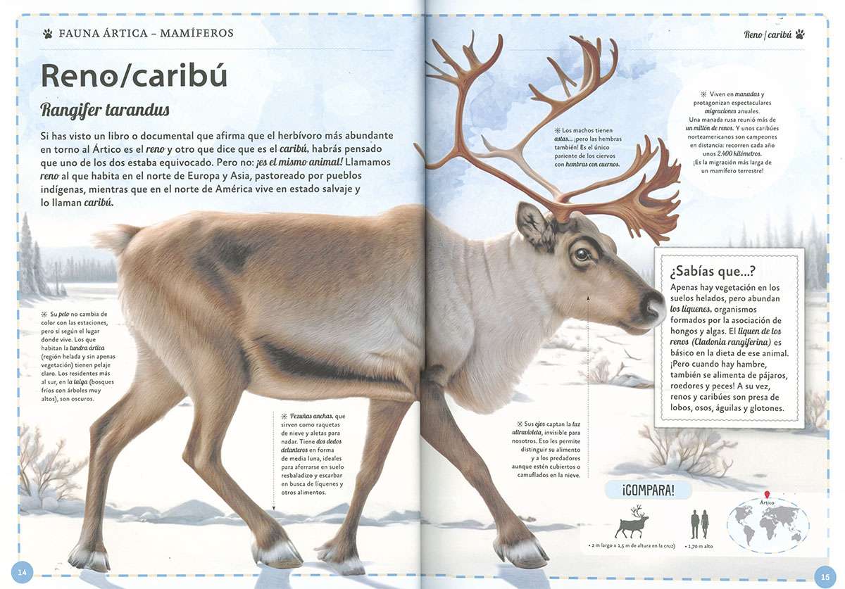 EL MAGNÍFICO LIBRO DE LOS ANIMALES POLARES3