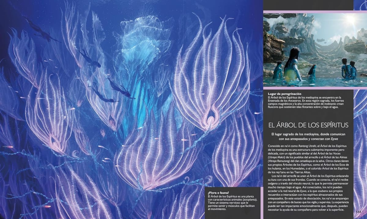 EL MUNDO DE AVATAR (EDICION ACTUALIZADA)4