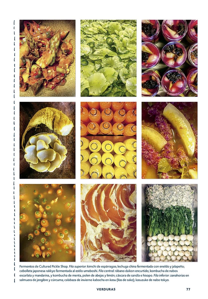 EL MUNDO DE LA FERMENTACION2