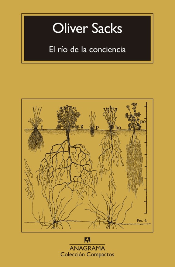 EL RIO DE LA CONCIENCIA1