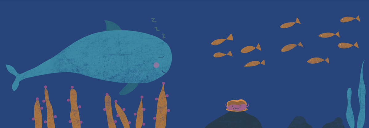 EN EL FONDO DEL MAR2