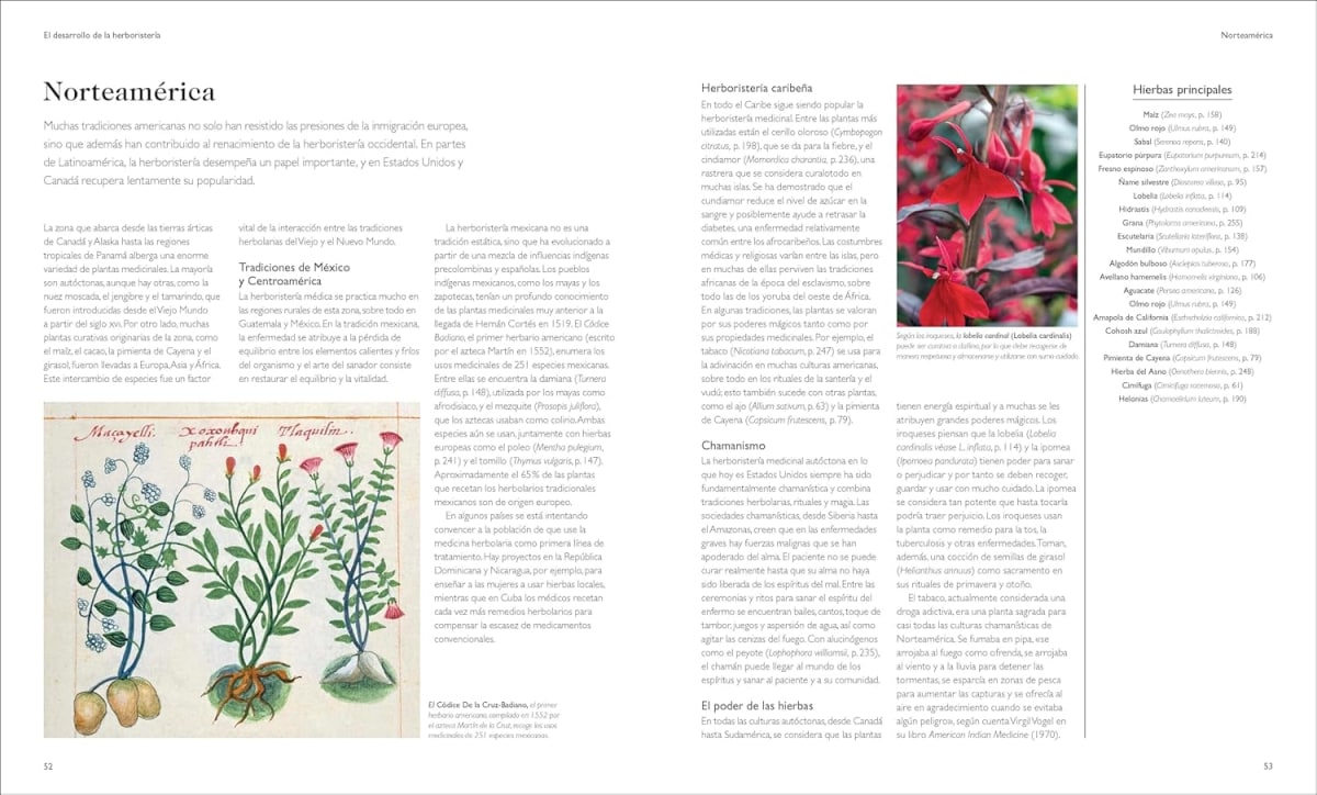 ENCICLOPEDIA DE PLANTAS MEDICINALES3