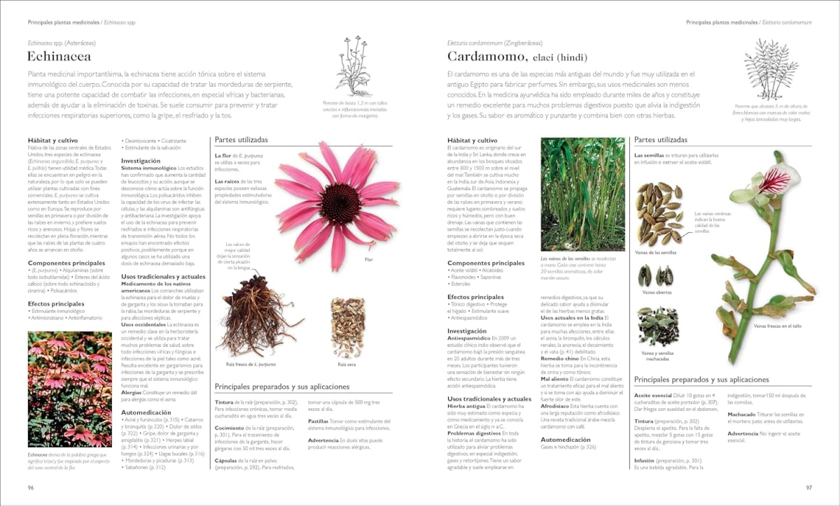 ENCICLOPEDIA DE PLANTAS MEDICINALES4