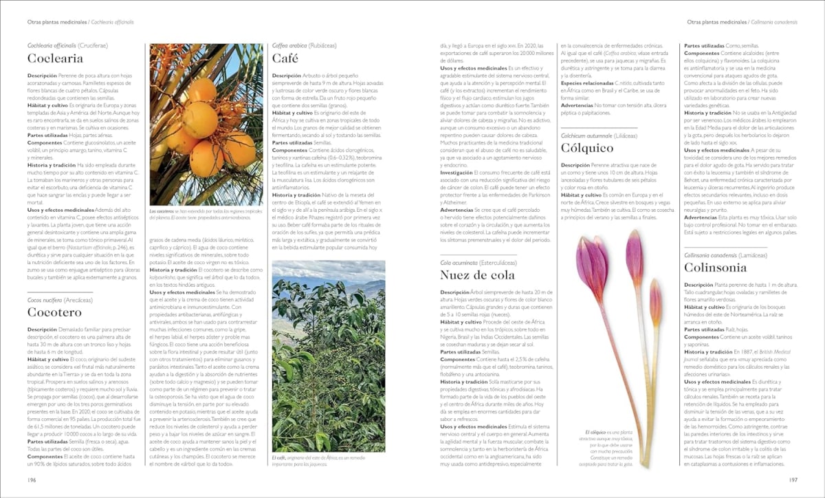 ENCICLOPEDIA DE PLANTAS MEDICINALES6