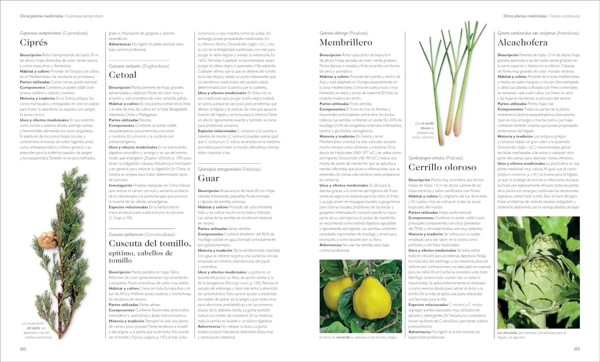 ENCICLOPEDIA DE PLANTAS MEDICINALES7