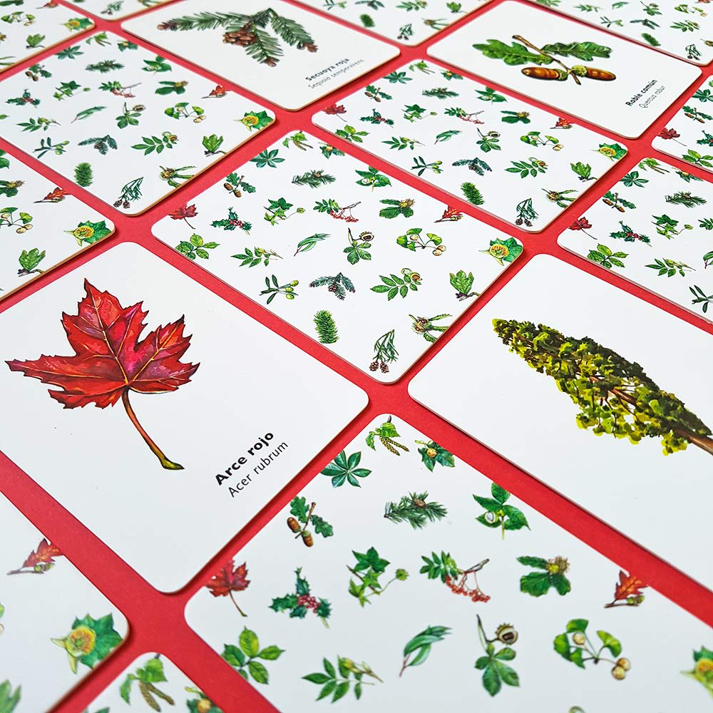 ENCUENTRA LA HOJA. JUEGO DE MEMORIA4