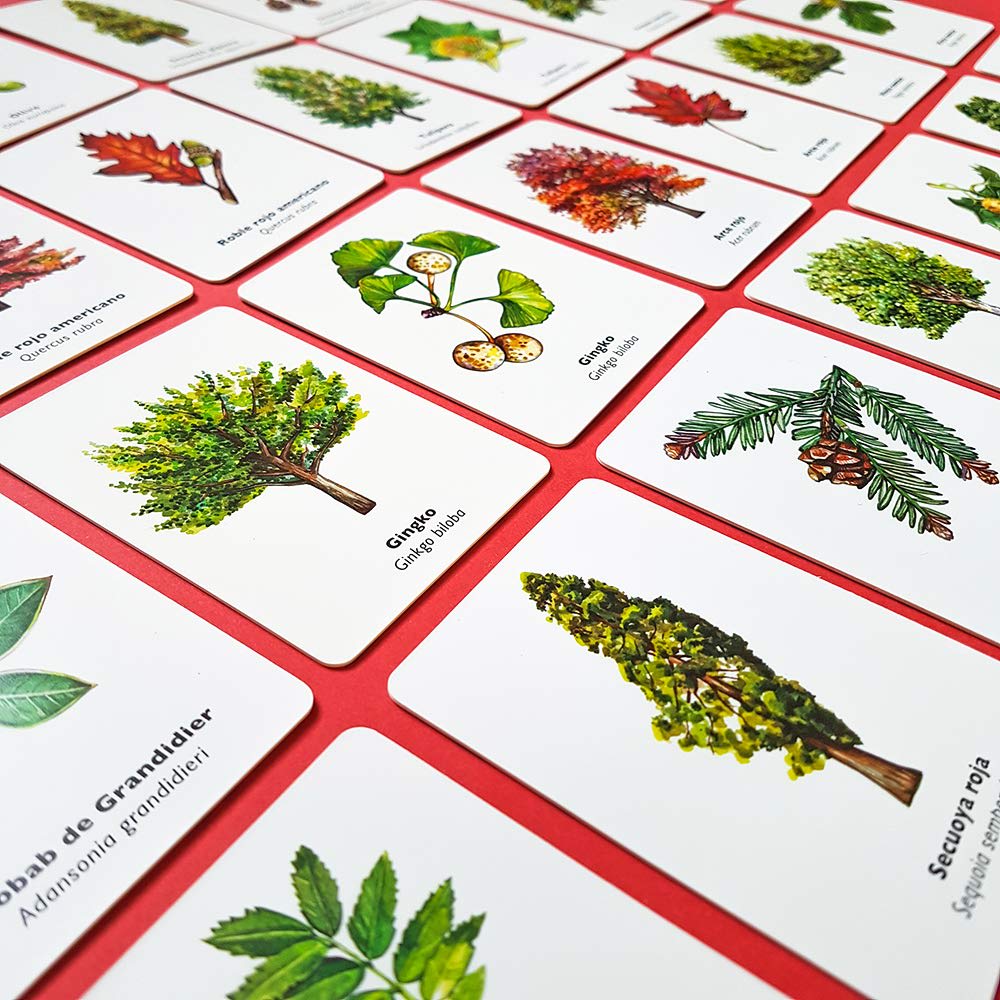 ENCUENTRA LA HOJA. JUEGO DE MEMORIA5