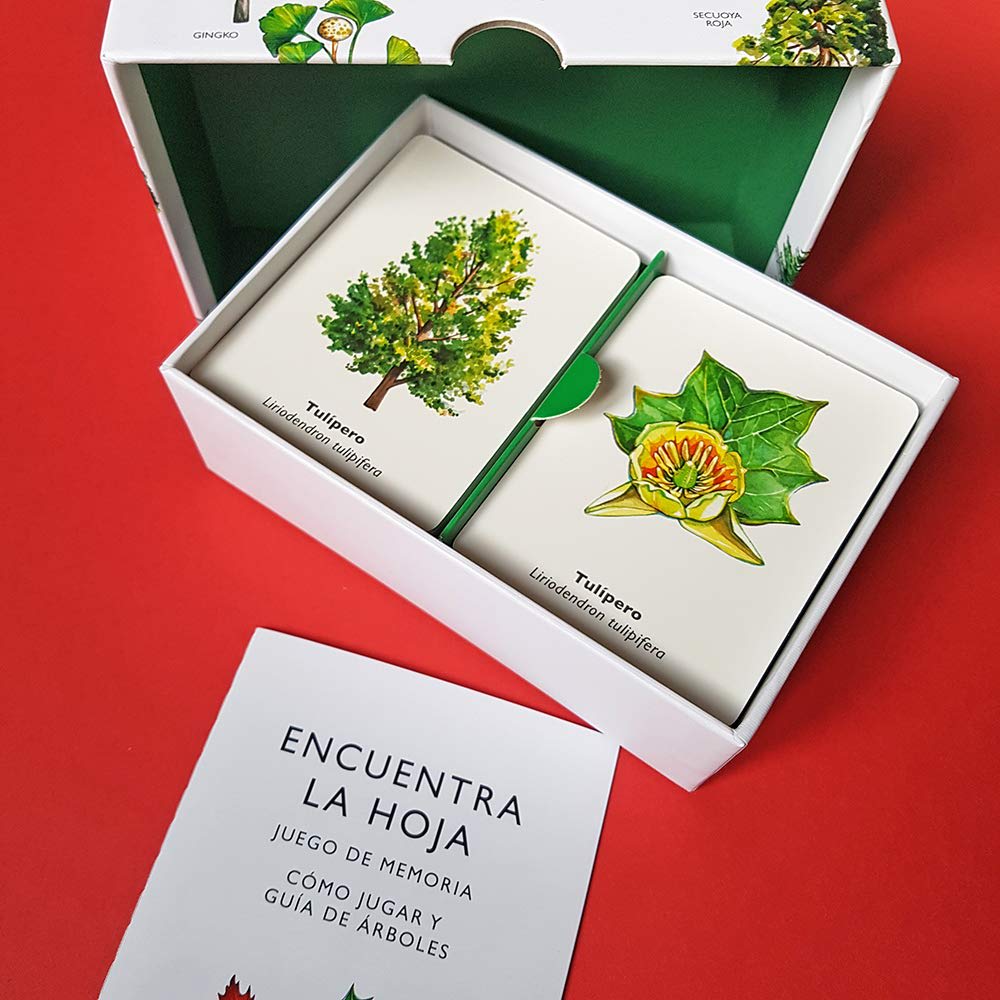 ENCUENTRA LA HOJA. JUEGO DE MEMORIA3