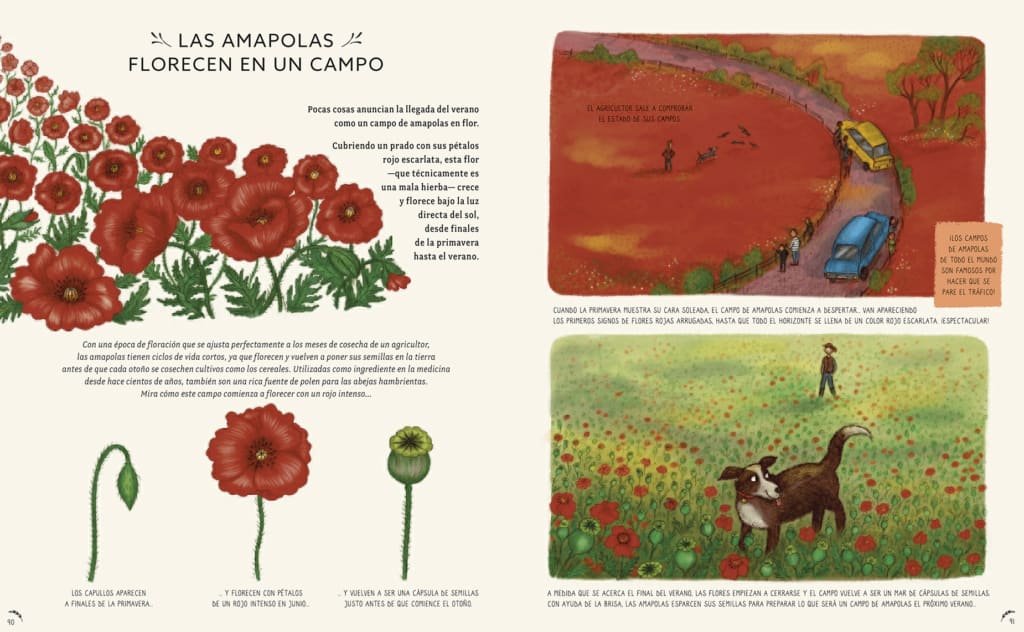 CON CALMA:  50 HISTORIAS  DE LA NATURALEZA2