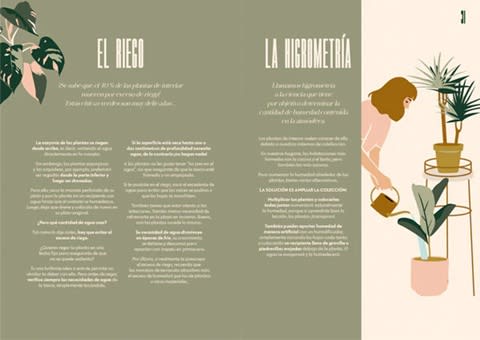 ESPÍRITU VEGETAL - LA ALEGRÍA DE TENER PLANTAS EN TU CASA2