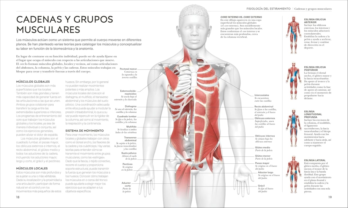 ESTIRAMIENTOS3
