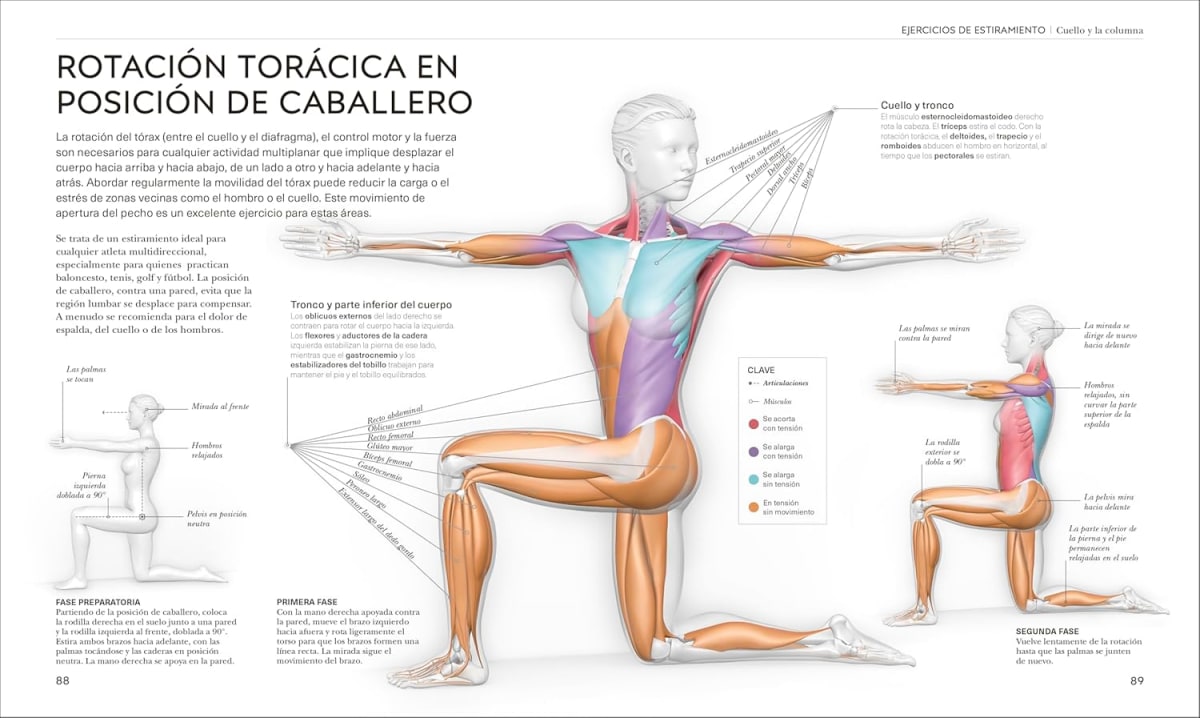 ESTIRAMIENTOS4