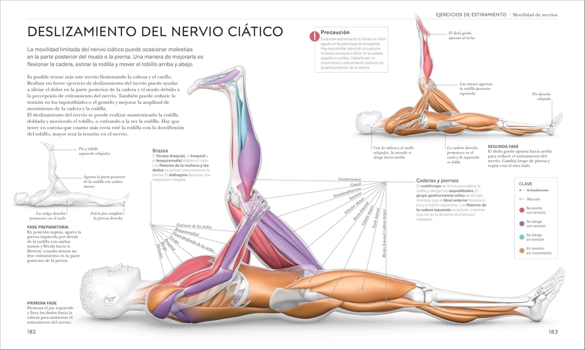 ESTIRAMIENTOS6