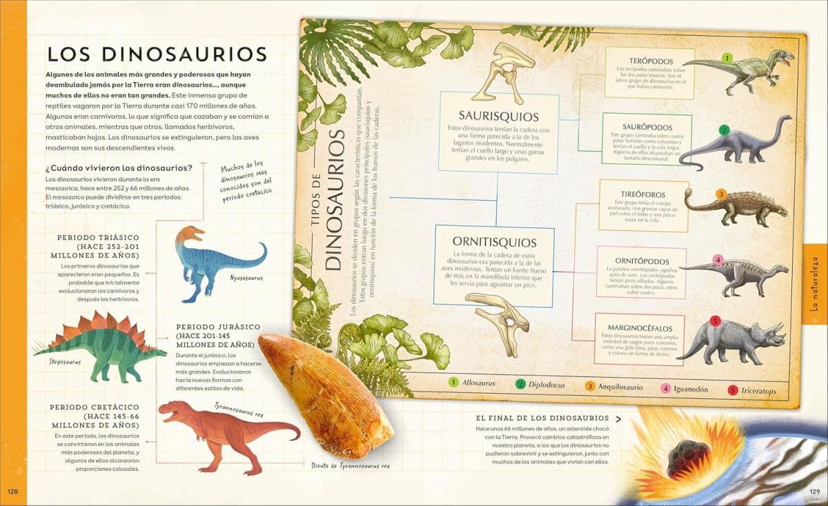 ¡EXPLORA!4